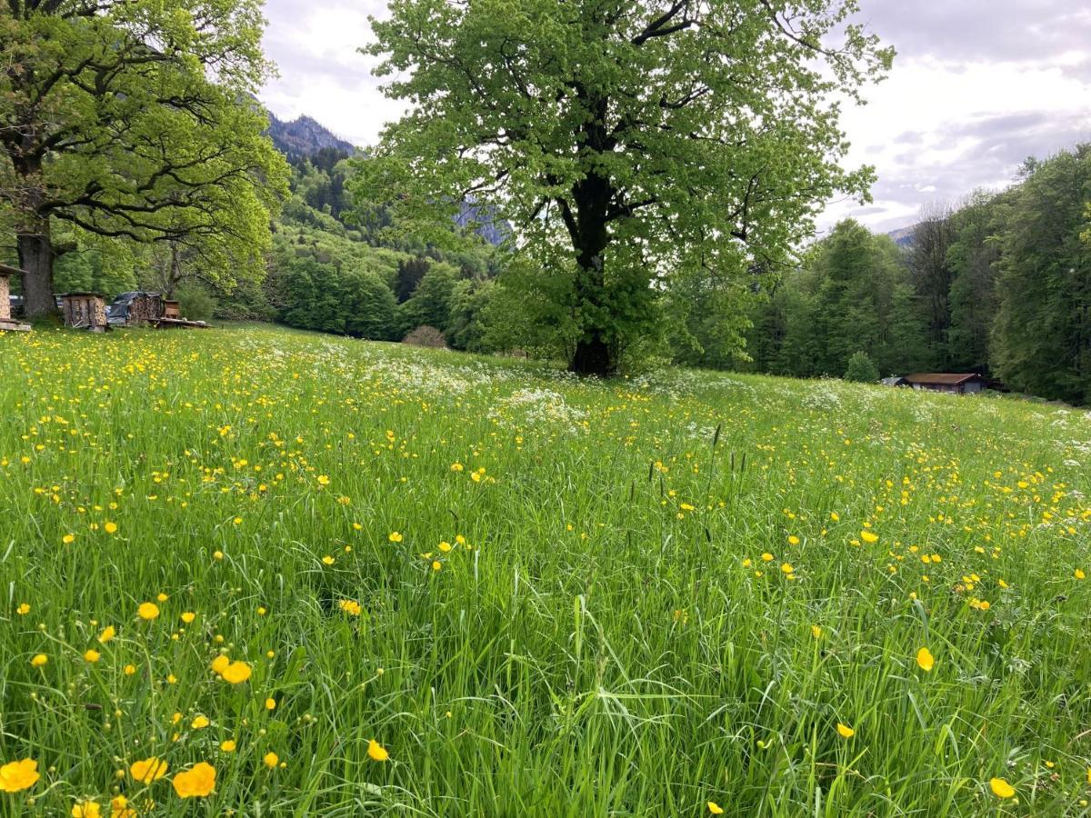 Ciao-Aschau Haus Zur Burg Ap112 Burgblick Apartamento Aschau im Chiemgau Exterior foto