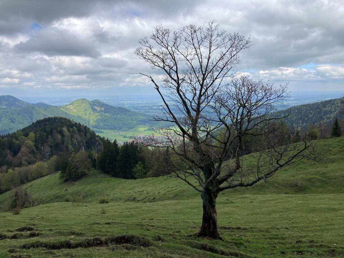 Ciao-Aschau Haus Zur Burg Ap112 Burgblick Apartamento Aschau im Chiemgau Exterior foto